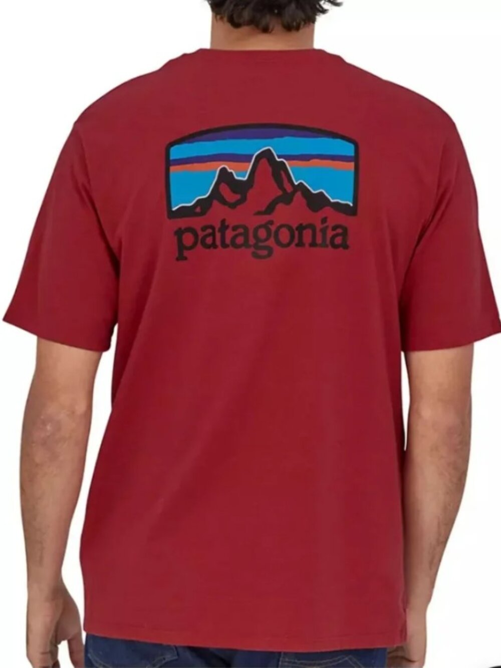 Patagonia P-6 Logo Responsibili-Tee Fitz Roy Horizons Sumac Red
